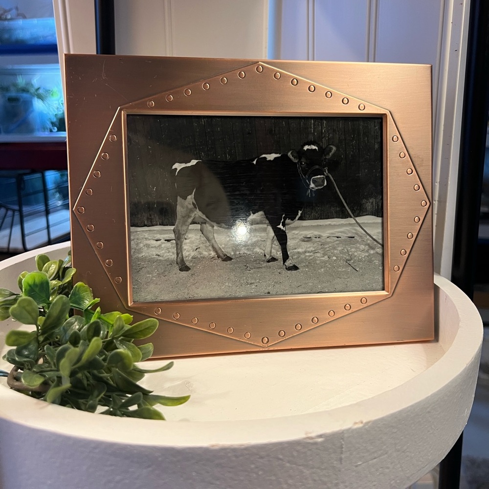 Elegant Copper Photo Frame